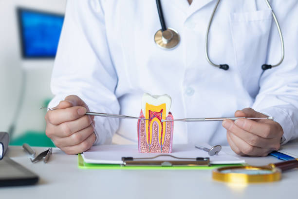 Best Emergency Treatment for Oral Infections in Lake Caroline, VA